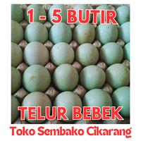 Gambar TELUR BEBEK MURAH BUTIR TOKO SEMBAKO CIKARANG - 1 BUTIR dari BERAS JAYA CIKARANG undefined 1 Tokopedia