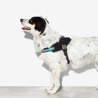 Gambar Tersedia Zee Dog Gotham Fly Harness - All Size - Tali Tuntun Anjing Premium - SIZE 1 dari juanwaldani undefined 2 Tokopedia
