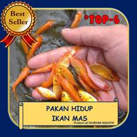 Gambar PAKAN IKAN PREDATOR - IKAN MAS - 1 Bungkus dari Vilirium Aquatic undefined 1 Tokopedia