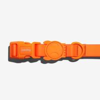 Gambar Tersedia Zee Dog Neopro Tangerine Collar - Tali Tuntun Anjing Premium - S - SMALL dari juanwaldani undefined 5 Tokopedia