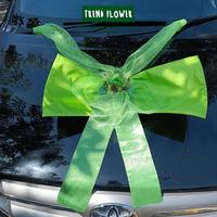Gambar Dekorasi mobil pengantin pernikahan bunga + kain tile karangan bunga kap mobil dekorasi pernikahan - BUNGA PINTU, Maroon dari Trend Flower undefined 3 Tokopedia