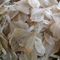 Gambar Ikan Asin Kapasan, Tipis Kapas Per Ons, 100 gram. dari Doyan daging Tanggerang undefined 1 Tokopedia