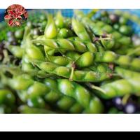 Gambar Sayur Kacang Hiris Segar 100GRAN dari Sionepiece undefined 2 Tokopedia