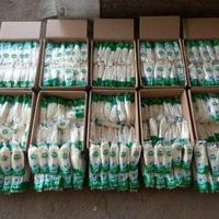 Gambar Jamur Enoki Astronot Hijau Premium Fresh dari ITS 3SECOND ONLINE undefined 5 Tokopedia