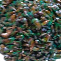 Gambar Kerang Hijau. 1kg. masih hidup segar terjamin bersih dari BerkahDuaPutrijaya undefined 3 Tokopedia