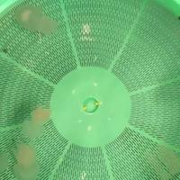 Gambar JELLYFISH/ UBUR- UBUR LAUT dari 𝐉𝐔𝐀𝐋 𝐇𝐀𝐒𝐈𝐋 𝐋𝐀𝐔𝐓 𝐈𝐈 undefined 2 Tokopedia