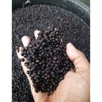 Gambar Klenteng isi 200g biji kapuk randu untuk pembenihan atau umpan mancing dari Hanifan Fishing undefined 5 Tokopedia