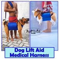 Gambar Pet Dog Medical Harness / Lift Aid Harness for Paralyzed Limping / Pet Full Body Harness / Grooming Harness /  Pet Wheelchair Harness / Alat Bantu Terapi/Angkat/Jalan Hewan Peliharaan / Harness Kursiroda Hewan - Female size L dari FUR KIDS Store undefined 1 Tokopedia