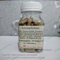 Gambar OBAT RACIKAN SINSHE MEMULIHKAN FUNGSI GINJAL DAN MENGUATKAN GINJAL - 1btl 100 Kapsul dari Pengobatan Herbal China SBY undefined 1 Tokopedia