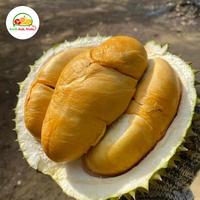 Gambar Durian Duri hitam | Durian Blackthorn import malaysia 1buah dari Ari NK Freshfruits undefined 1 Tokopedia