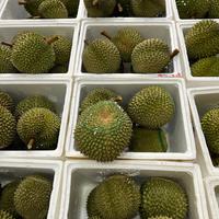Gambar Durian Duri hitam | Durian Blackthorn import malaysia 1buah dari Ari NK Freshfruits undefined 2 Tokopedia