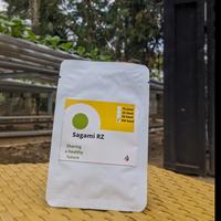 Gambar Sagami RZ benih buah melon asli f1 isi 100 seed dari Baraponikstore undefined 1 Tokopedia