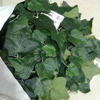 Gambar Garland artifisial hias dekorasi daun rambat ivy 150cm tanaman palsu juntai kalung dari TOYSCASTLES undefined 1 Tokopedia