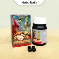 Gambar Dongmaipil / Ling Zhi Tong Mai Dan- Obat Herbal Meredakan Pegal Linu dan Nyeri Sendi | Du Huo by Herba Radix dari Sinar Herba Radix undefined 3 Tokopedia