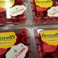 Gambar Buah Raspberry Driscoll RRC 125 Grm dari PartnerBuah undefined 2 Tokopedia