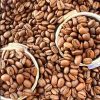 Gambar Kopi Flores Arabika BAJAWA dari Labajo Flores Coffee undefined 3 Tokopedia