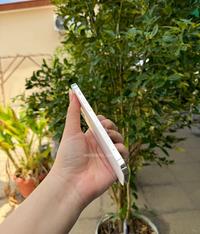Gambar APPLE IPHONE 12 PRO SILVER 128GB ORIGINAL MULUS MURAH DISKON GES - SILVER, 128GB / 30HRI dari NERDBOSS GADGET undefined 4 Tokopedia