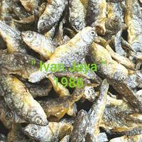 Gambar Ikan Danau singkarak/bilih kecil/bilis/Tawar padang 1kg/1000 gram dari SayinahStire undefined 1 Tokopedia