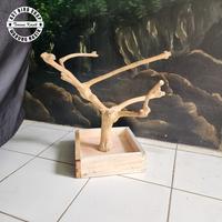 Gambar Tangkringan pohon kopi small tangkringan burung dari AST bird shop undefined 5 Tokopedia
