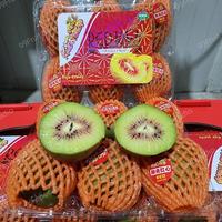 Gambar BUAH KIWI RED SUPER PREMIUM | KIWI MERAH | PACK dari 99Fruit Shop undefined 1 Tokopedia