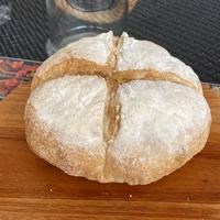 Gambar Roti Sourdough Golden Crust Sourdough Bread Round dari Pizza Dough & Co undefined 2 Tokopedia