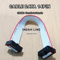 Gambar 100cm Kabel Data 14pin Flat Cable 14 pin + IDC Socket Female 100 cm dari Indah Line undefined 1 Tokopedia