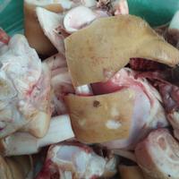 Gambar Kikil / Tunjang Kaki Sapi per biji dari toko sayur dua dara undefined 3 Tokopedia