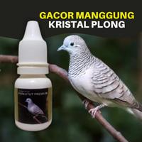Gambar Vitamin Burung   Perkutut Premium Biar Cepat Gacor dari Market Herbal Solutions undefined 2 Tokopedia