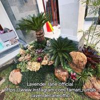 Gambar taman bali depan rumah pohon sikas dan batu dari Green garden desain undefined 5 Tokopedia
