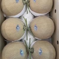Gambar Melon Jepang Musk Crown - Fresh Import 1 Dus dari UD.Riyanti Buah undefined 1 Tokopedia