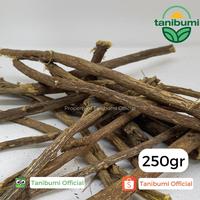 Gambar Akar Manis | 250g | Licorice Kering | Kayu Legi | Akar Legi dari Tanibumi Official undefined 1 Tokopedia