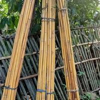 Gambar jual bambu kuning panjang 2 meter dari Arisflora undefined 2 Tokopedia