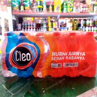 Gambar Air Mineral Cleo botol mini 220ml dari Noerama Jaya undefined 1 Tokopedia