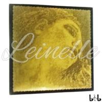 Gambar Pirastro Evah Pirazzi Violin Strings Senar Biola Eceran dari Leinelle undefined 5 Tokopedia