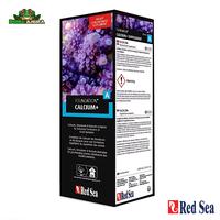 Gambar Red Sea Foundation A (Calcium) - 500 ml dari Dunia Anura 99 undefined 2 Tokopedia