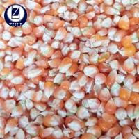 Gambar Jagung Kristal 1kg Pakan Burung Dara Merpati Kecil Bersih dan Kering dari ZIP MART undefined 2 Tokopedia