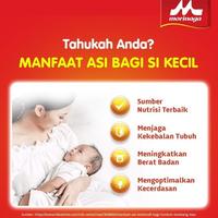 Gambar Morinaga BMT Gold Reguler 400 gram dari naimaemah84002 undefined 3 Tokopedia