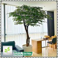 Gambar pohon hias artifical - pohon beringin 2,5meter - pohon sudut ruangan - Premium dari LunaPlants undefined 4 Tokopedia