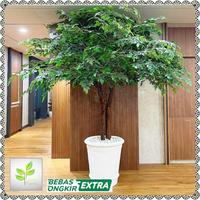 Gambar pohon hias artifical - pohon beringin 2,5meter - pohon sudut ruangan - Premium dari LunaPlants undefined 2 Tokopedia