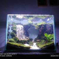 Gambar aquascape air terjun pasir wff dari pickup undefined 2 Tokopedia