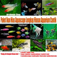 Gambar ikan hias aquascape paketan - ikan hias air tawar paket lengkap - ikan hias aquarium guppy molly neon cardinal red nose tetra ikan warna warni dari Arrahman Shop2 undefined 1 Tokopedia