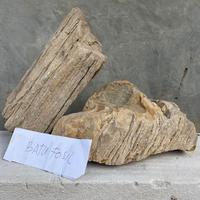 Gambar Batu fosil produk baru grade A dari DeQueenAquatics undefined 2 Tokopedia