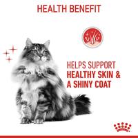 Gambar Royal Canin Hair Skin Care Dry Makanan Kucing Dewasa 10 kg dari CV PERMATA SAHABAT MAJU undefined 4 Tokopedia