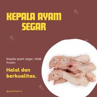 Gambar Kepala ayam fresh 100% Bandung - 1/2 kg dari Ayamfresh.id undefined 1 Tokopedia