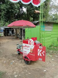 Gambar Gerobak Sepeda Listrik Type GSL 051 dari Papipid undefined 1 Tokopedia