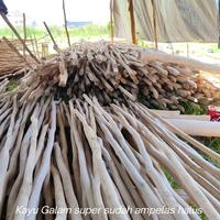 Gambar kayu Galam super sudah ampelas halus dari Tirai bambu shop undefined 1 Tokopedia