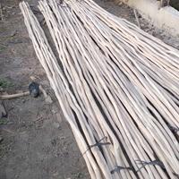 Gambar kayu Galam super sudah ampelas halus dari Tirai bambu shop undefined 2 Tokopedia