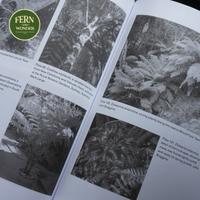 Gambar Buku Import : Tree Ferns Plant dari fern&wonder undefined 3 Tokopedia