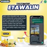 Gambar ZL PAKET 3 BOX ETAWALIN - Susu Kambing Etawa Original Untuk Anak & Dewasa dari BELLVANIA SBY undefined 4 Tokopedia