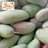 Gambar BUAH MANGGA THAILAND / MANGGA KIOJAY SUPER FRESH 1KG dari Saudagar Buah undefined 2 Tokopedia